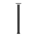Eglo Pedestal Lamp Rigosa Steel Black 10W 1100lm - 830 Warm White | IP44