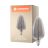 Ledvance Vintage 1906 LED E27 Special Clear 4W 140lm - 818 Extra Warm White | Dimmable - Replaces 15W