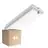 Multipack 4x LED Bulkhead White 3W 280lm - 830 Warm White | IP66